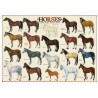 Puzzle 1000 pièces- Chevaux– Eurographics