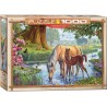 Puzzle 1000 pièces-Les poneys fell– Eurographics