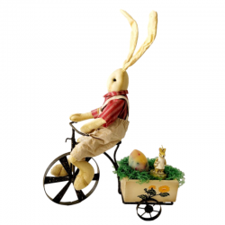 Lapin en vélo