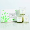 Coffret 3 bougies bouquet de Printemps - Woodbridge Collection Signature