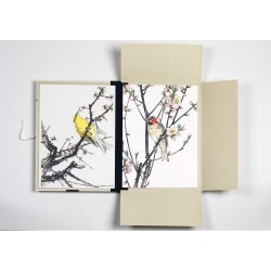 Portfolios Japanese Bird Prints – Pepin Press