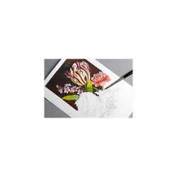 Carnet de cartes postal aquarelle Floral Still Life – Pépin Press