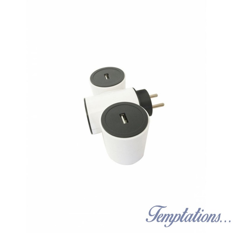 Multiprise Modulowatt double USB