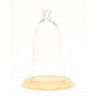 Cloche en verre conique - Molly-Marais