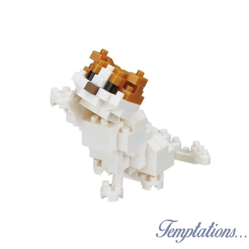 Nanoblock - chat Scottish fold NBC-268