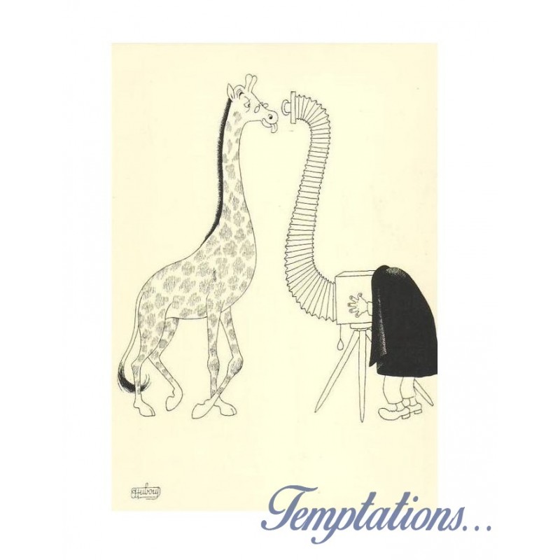 Carte postale " La girafe et le photographe" Albert Dubout