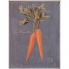 Image vintage "Carrots" Hardenbrook Studio