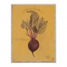 Image "Vintage Beets " Hardenbrook Studio