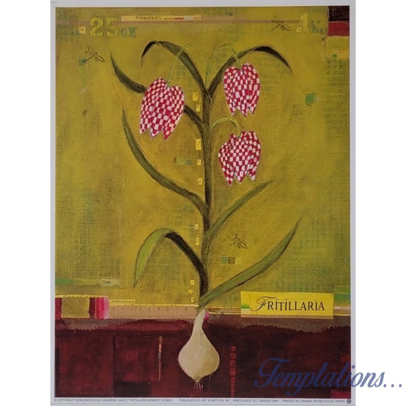 Image " Fritillaria" Sandrine Gayet