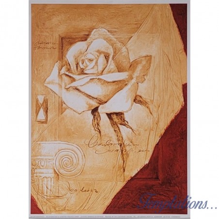 Image "Charming Rose"