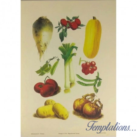 Image "Planche de légumes " Editions SAF