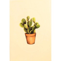 Carte Rossi "Cactus raquettes"