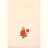 Carte Rossi "Roses Dublin bay"