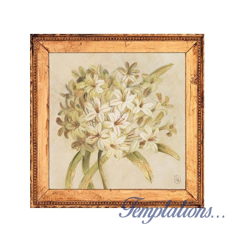 Carte simple "Agapanthus floret détail"Lauren Hamilton