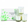 Coffret 3 bougies bouquet de Printemps - Woodbridge Collection Signature