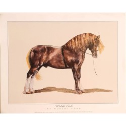 Image Cheval "Welsh Cob"...