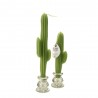 Duo flambeaux cactus - Bougie la Francaise