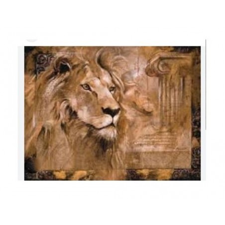 Image « Lion » Annrika James McCavitt