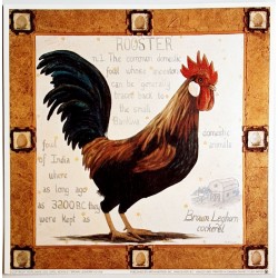 Carte simple "Brown Leghorn...