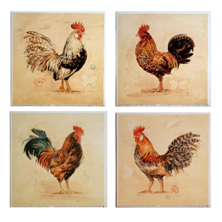 Lot de 4 cartes Coqs"Plummage Detail " Chad Barrett