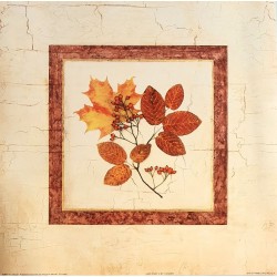 Lot de 2 images " Leaf study I et II" - T.Chaden