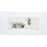 Lot 4 cartes format paysage « Corrida » Virginie Cachau