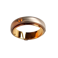 Bague homme acier et or 3 vis dorées