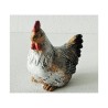 Poule assise