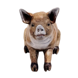 Cochon en resine - Dekoratief