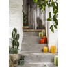 Photophore cactus en cire Olive avec recharge parfumée - Bougie la Française