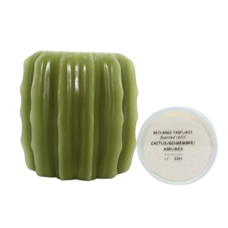 Photophore cactus en cire Olive avec recharge parfumée - Bougie la Française