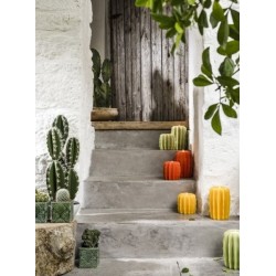 Photophore cactus en cire capucine avec recharge parfumée