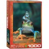 Puzzle 1000 pièces Grenouilles aux Yeux Rouges