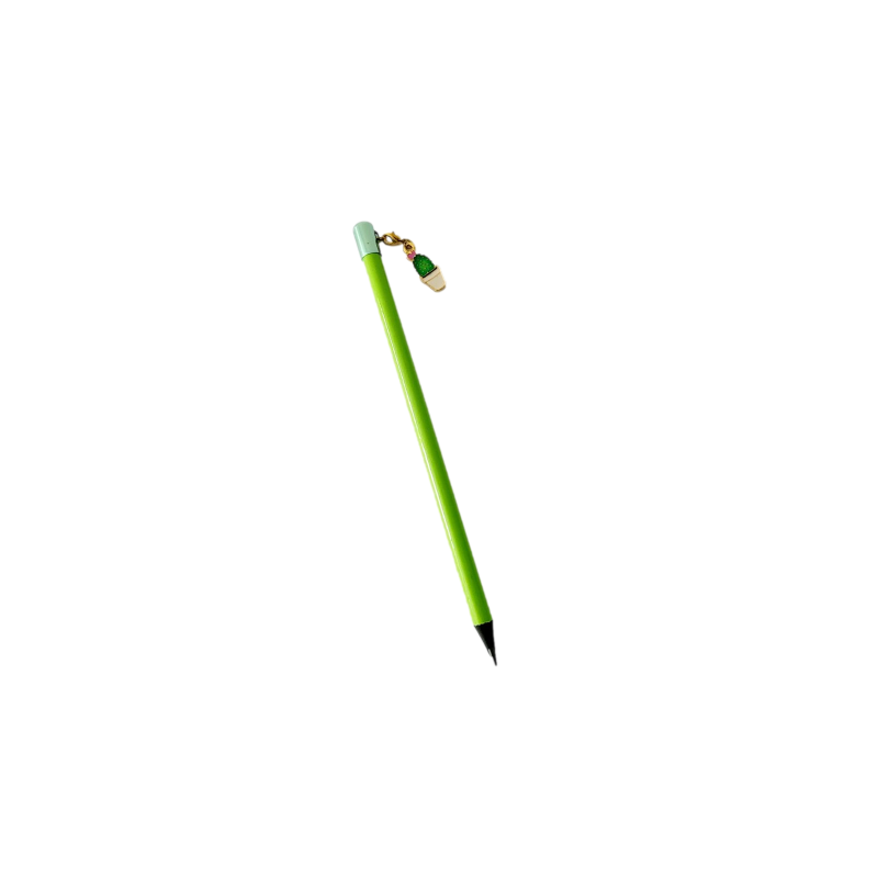 Crayon avec charme cactus