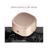 Enceinte Bluetooth portable WK SP-280 Or
