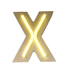 X- LETTRE NÉON