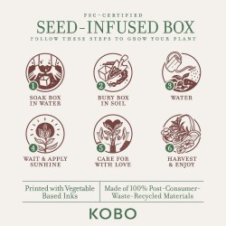 Bougie Kobo Plant The Box - Catalan Calendula