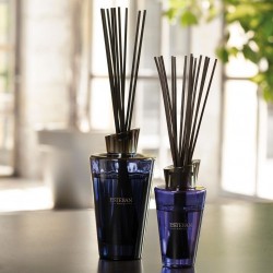 Bouquet parfumé Elessens Estéban Bois de Cashmere et Ambre Gris
