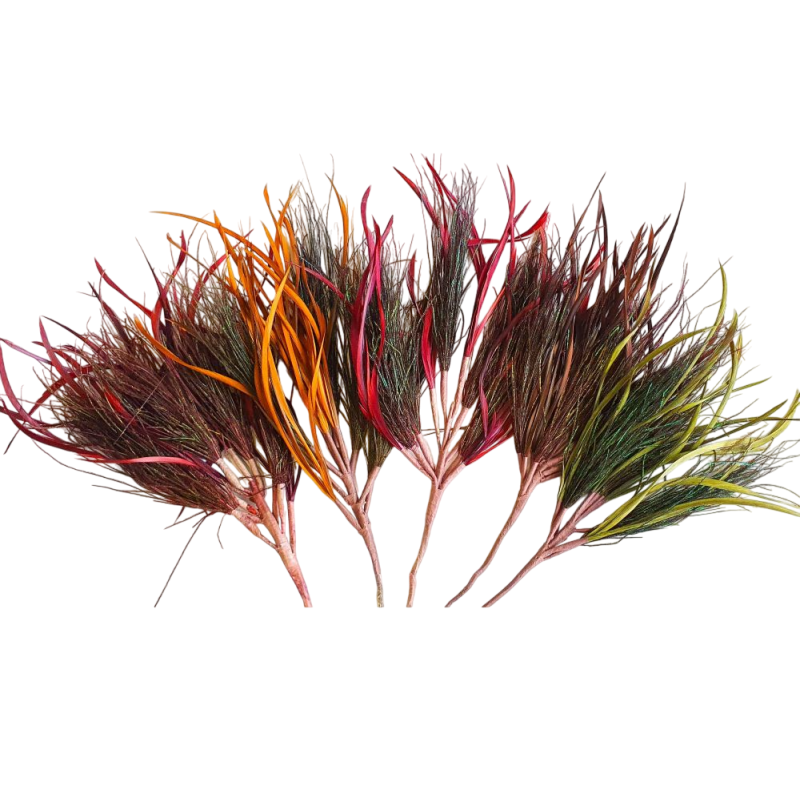 Décoration plumes colorées - Goodwill