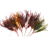 Décoration plumes colorées - Goodwill