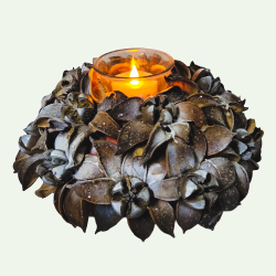 Centre table végétal avec...