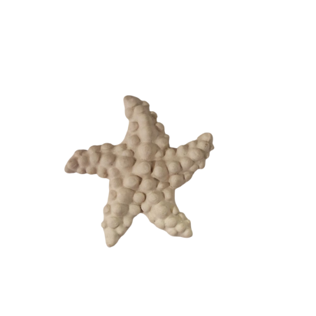 Miniature en céramique – Etoile de mer
