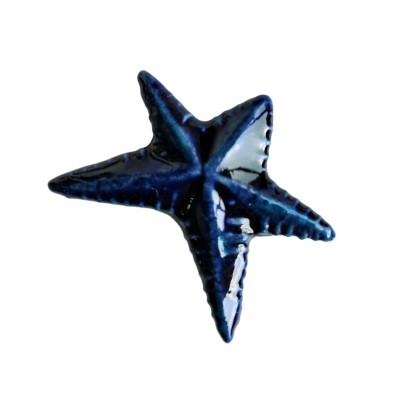 Miniature en céramique – Etoile de mer bleue