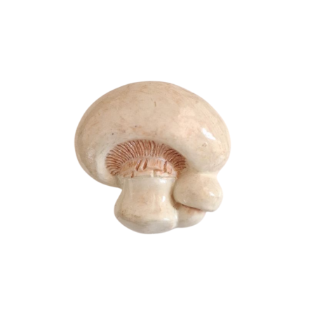 Bouton JHB - "Champignon"