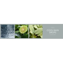 Bougie 3 mèches Cool Rain Drops / Gouttes De Pluie – Goose Creek