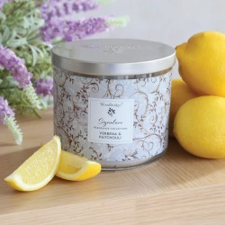 Bougie 3 mèches Verbena & Patchouli - Woodbridge