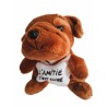 Peluche chien «L'amitié c'est sacrée  »
