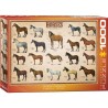 Puzzle 1000 pièces Chevaux - Eurographics