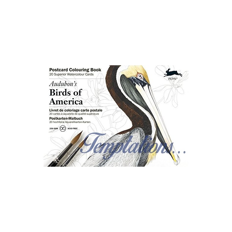 Carnet de cartes postal aquarelle  Birds of America