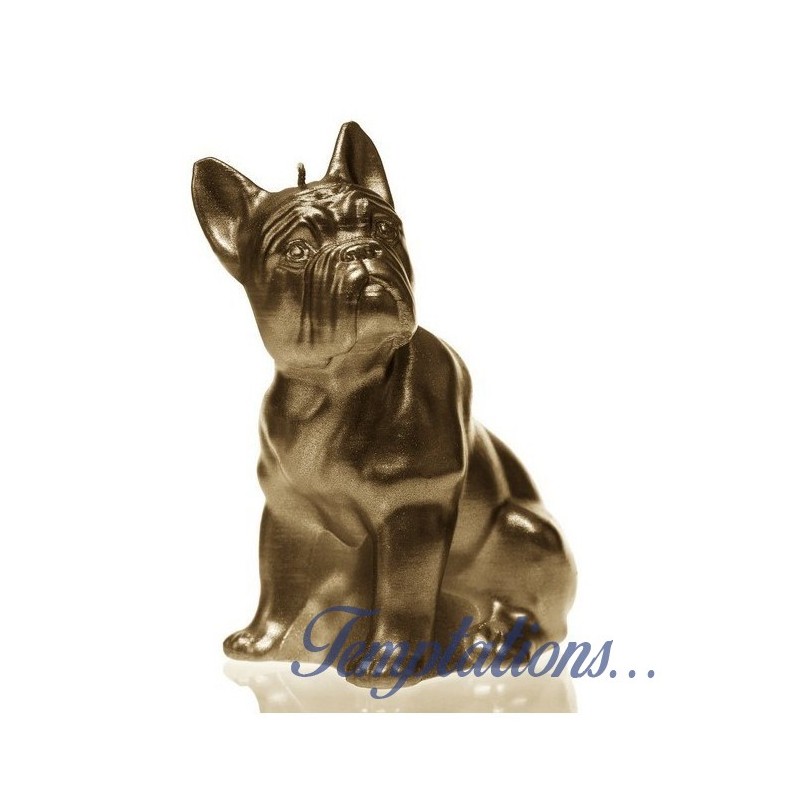 Bougie Bulldog Brass Candellana